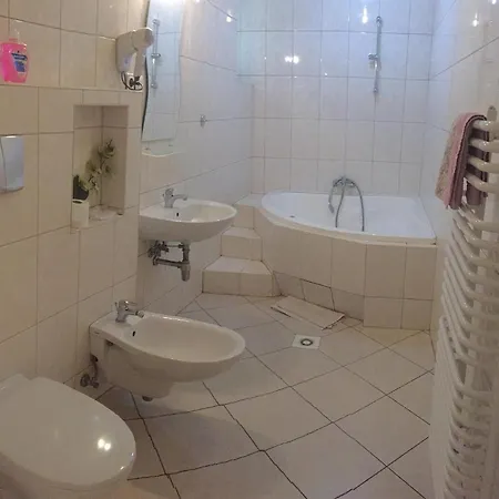 Przy Bloniach Pensionat *